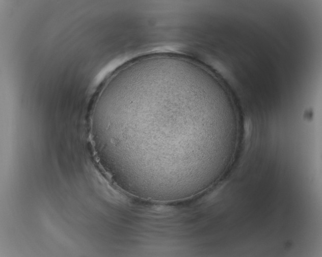 X0000114171308200910221641