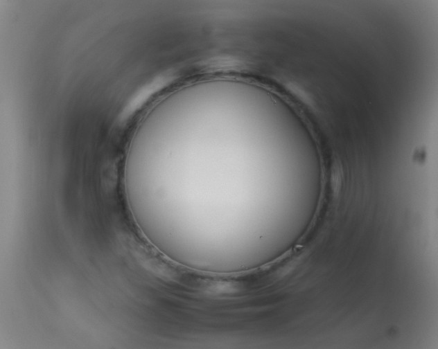 X0000114171309200910221641