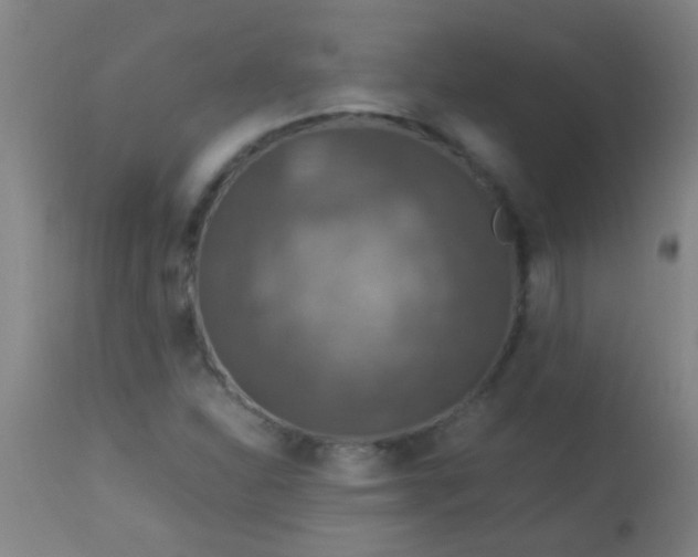 X0000114171310200910221641