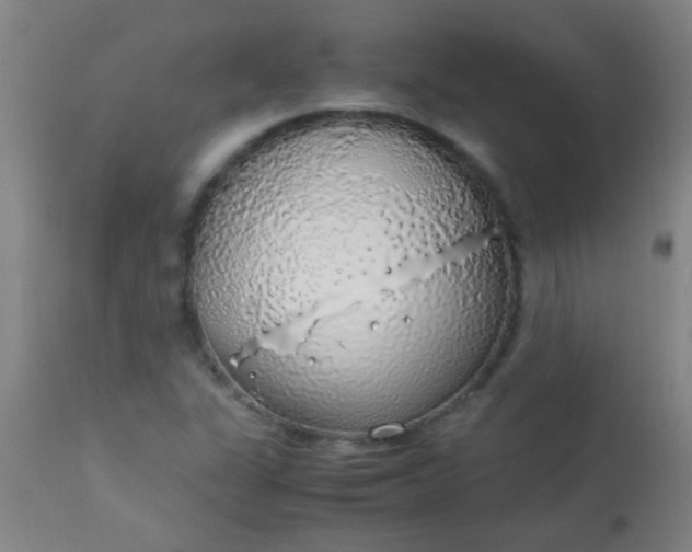 X0000114171311200910221641