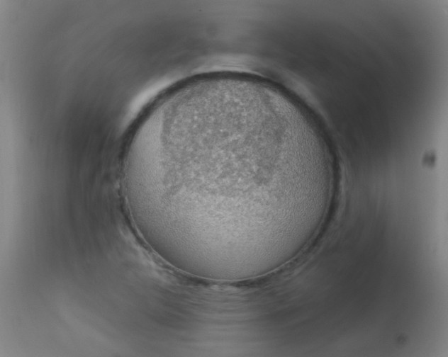 X0000114171312200910221641