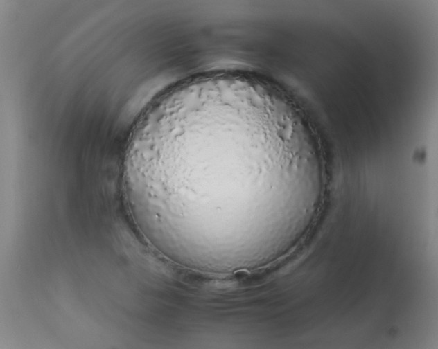 X0000114171313200910221641