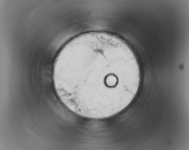 X0000114171314200910221642