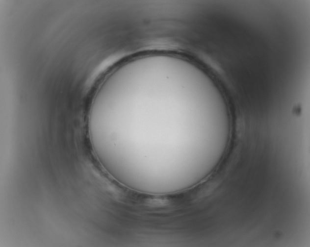 X0000114171315200910221642