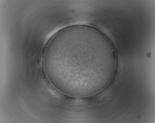 X0000114171316200910221642