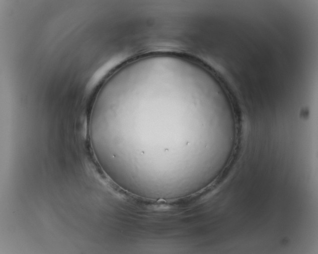 X0000114171317200910221642