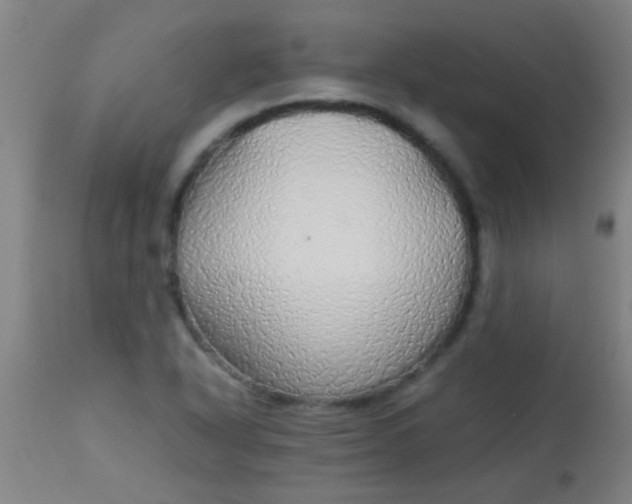 X0000114171318200910221642