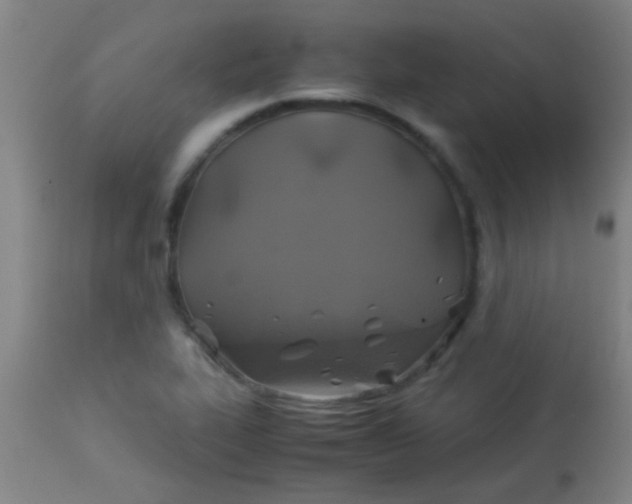 X0000114171319200910221642