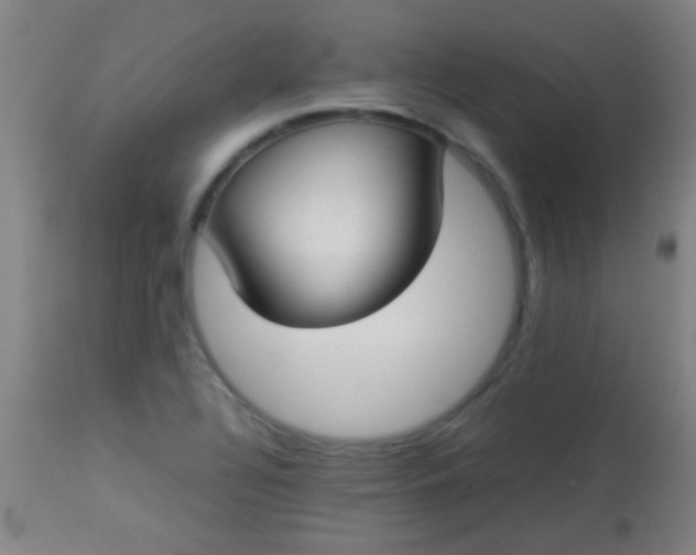 X0000114171320200910221642