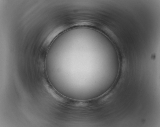 X0000114171321200910221642