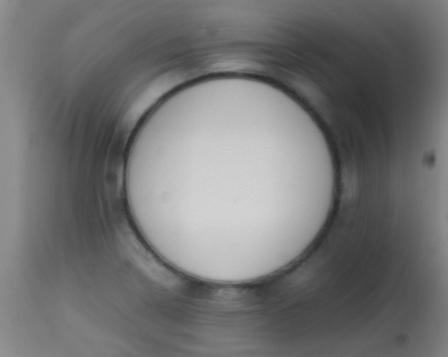 X0000114171322200910221642