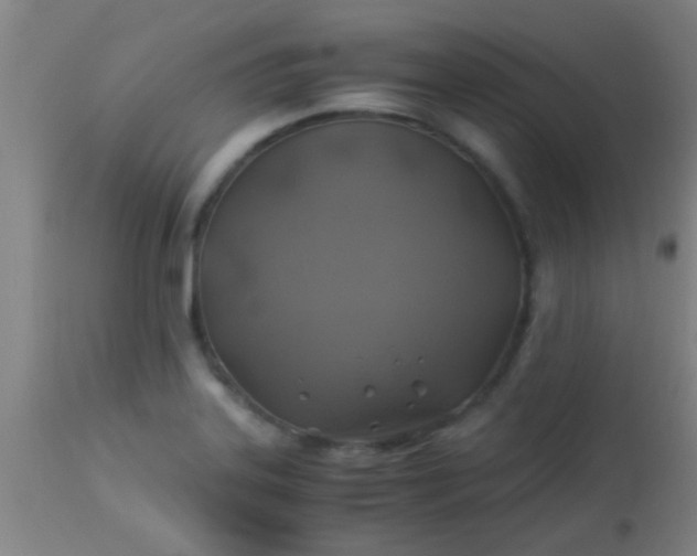 X0000114171323200910221642