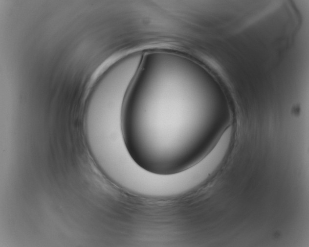 X0000114171324200910221642