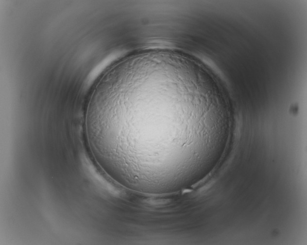 X0000114171325200910221642