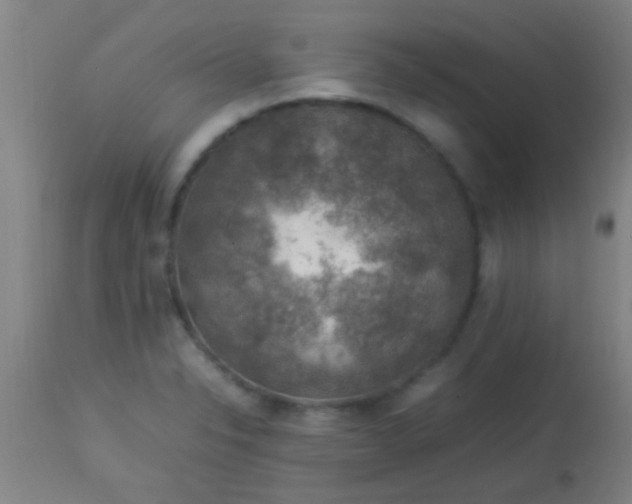 X0000114171326200910221642