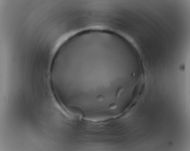 X0000114171327200910221642