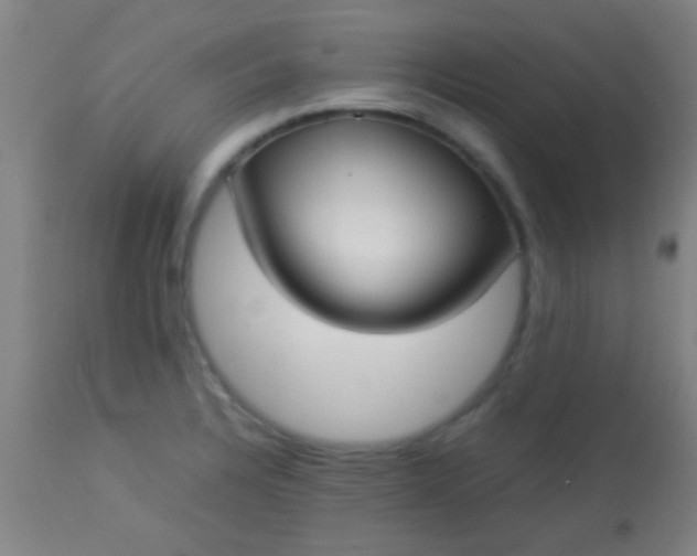 X0000114171328200910221642