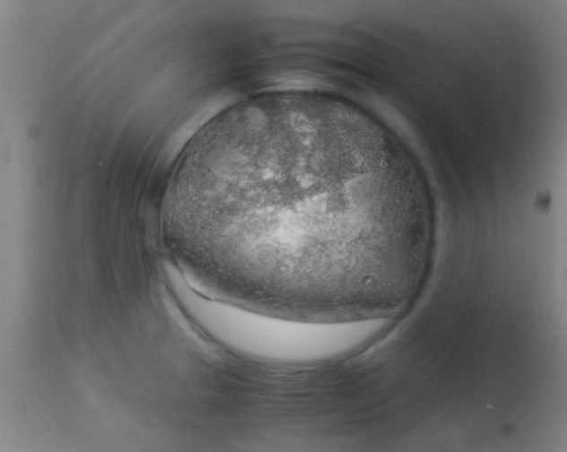 X0000114171329200910221642