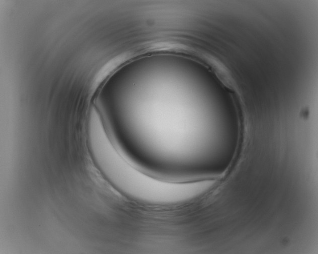 X0000114171330200910221642