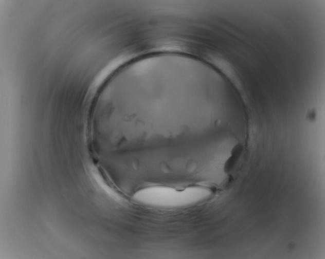 X0000114171331200910221642