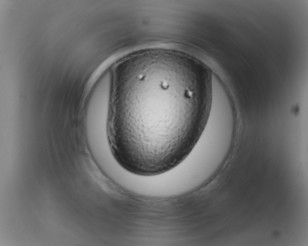 X0000114171332200910221642