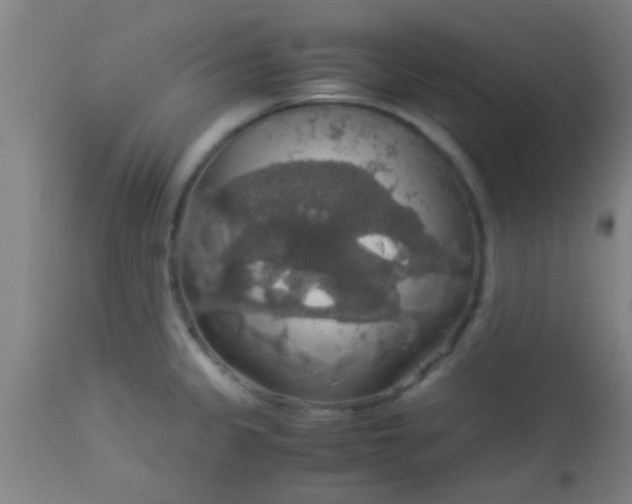 X0000114171333200910221642