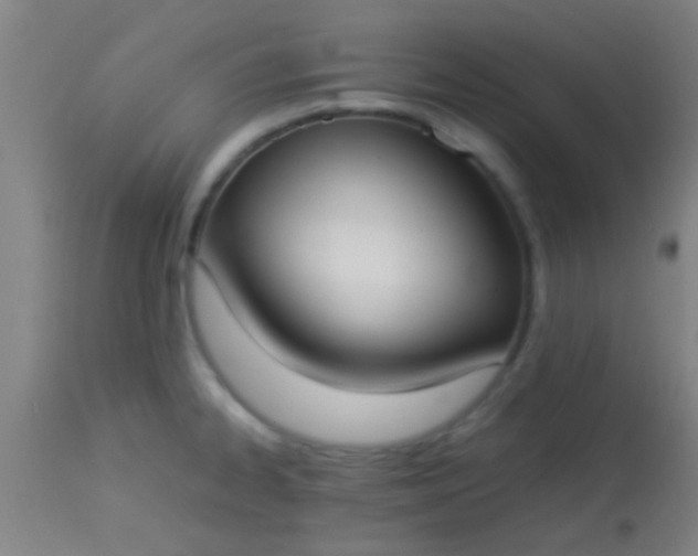 X0000114171334200910221642