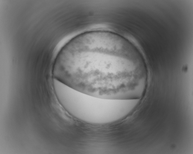 X0000114171336200910221642