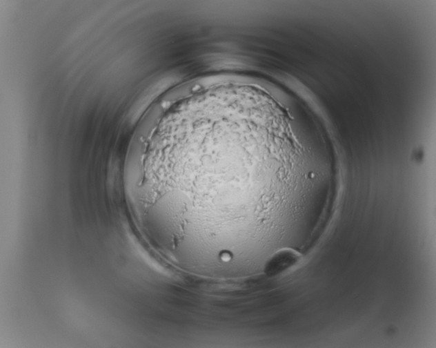 X0000114171337200910221642