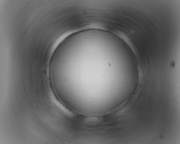 X0000114171339200910221642