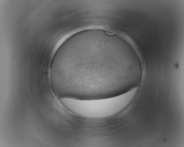 X0000114171340200910221642