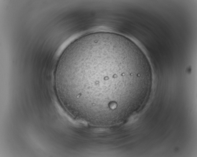 X0000114171341200910221642