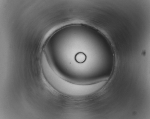 X0000114171342200910221642