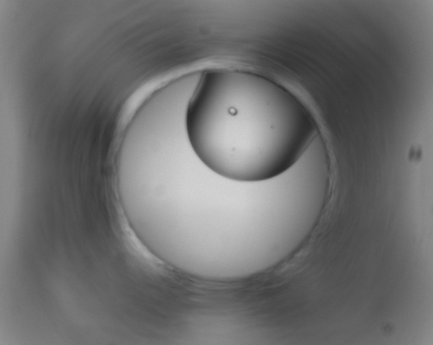 X0000114171344200910221642