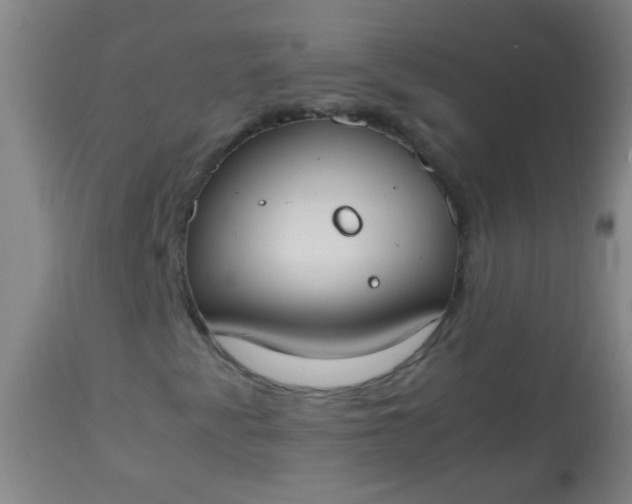 X0000114171345200910221641