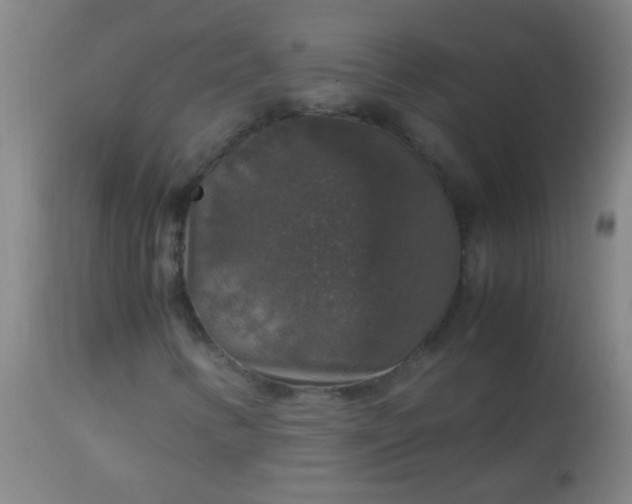 X0000114171346200910221641