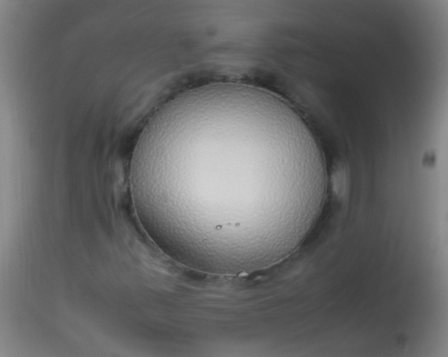 X0000114171347200910221641