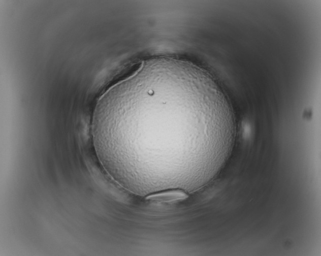 X0000114171348200910221641