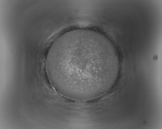 X0000114171349200910221641