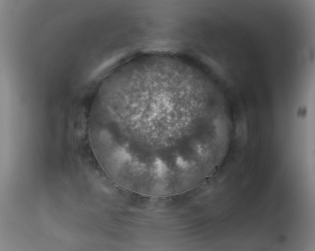 X0000114171350200910221641