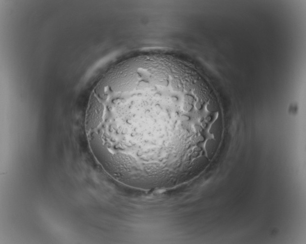 X0000114171351200910221641