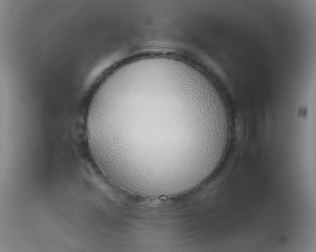 X0000114171352200910221641