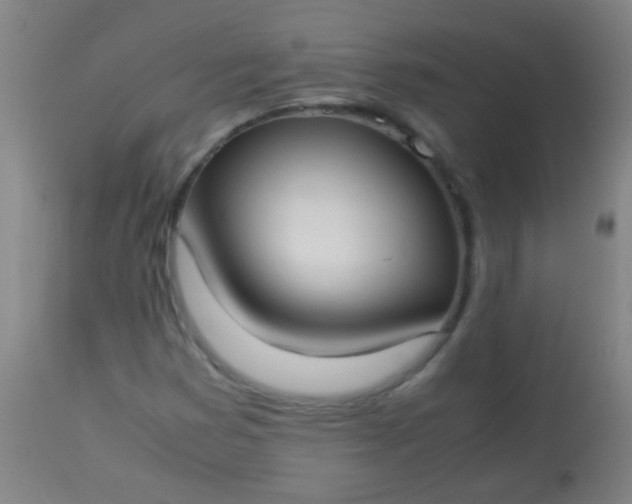 X0000114171353200910221641