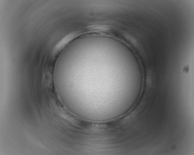 X0000114171354200910221641