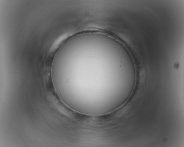 X0000114171355200910221641