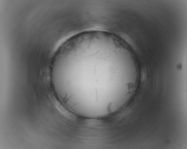 X0000114171356200910221641