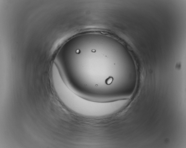 X0000114171357200910221641