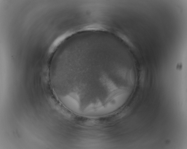 X0000114171358200910221641