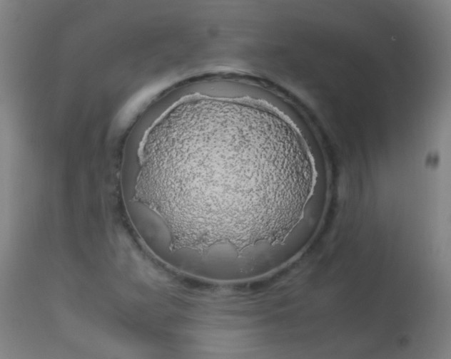 X0000114171359200910221641