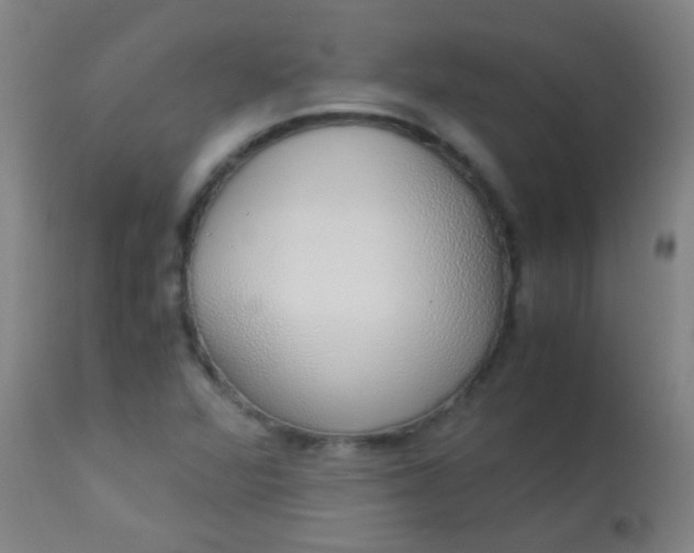 X0000114171360200910221641